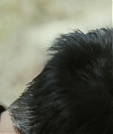 Filename=1879.jpg
Filesize=632KiB
Dimensions=1916x1076
Date added=Jan 06, 2026 1879.jpg