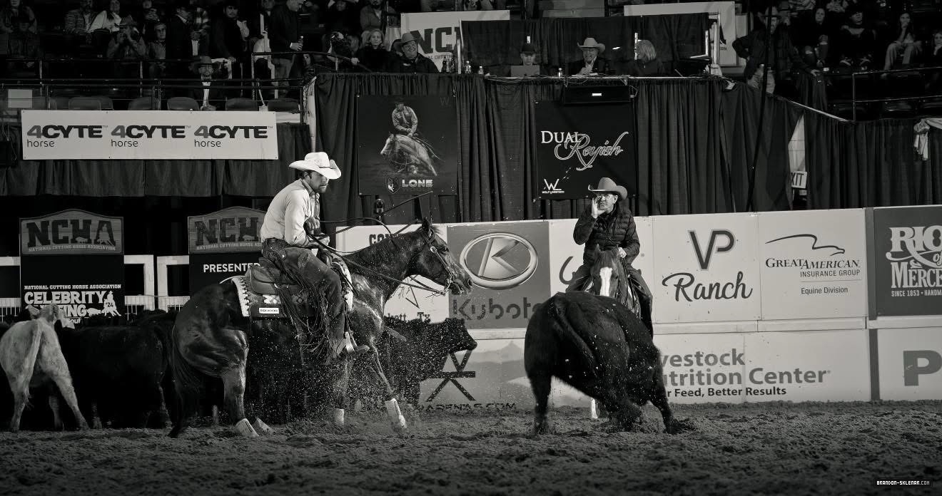 219.jpg