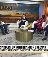 175.jpg