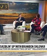 381.jpg